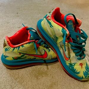 Nike Lebron 9 “Lebronald Palmer”